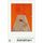 Animal Farm: A Fairy Story (Penguin Modern Classics)