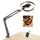 Evershop Ringlicht mit Stativ Handy Overhead 10”, Ring Light mit Fernsteuerung Ringleuchte Tish für Videos Fotos,3 Lichtfarben&10 Helligkeiten 360° Drehbar, Flexibel Dimmbar für Stream TikTok YouTube