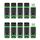 USB Stick 16GB 10 Stück Set KEXIN USB Stick 16 GB 10er Pack USB 2.0 Speicherstick USB Flash Laufwerk mit Cap LED-Licht Speicher Stick für PC Auto TV Grün