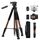 K&F CONCEPT Kamerastativ S255A3+BV01, Leichtes Stativ mit Tasche,190cm Handystativ,Tripod für Canon Nikon Sony Kamera/DSLR/Camcorder, Stativ für Smartphone,Reisestativ mit Handy-Tablet-Halterung(Gold)