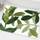 ZebraSmile Cartoon Lemon Diele Tür Teppich Diele Tür Teppich für WC Home Eingangstür Teppich Indoor Teppich Eintrag Innen Teppich Badezimmer Matte mit Anti-Rutsch Rückseite Büro Fußmatte 50X80CM