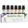 Ätherische Öle Set BIO - 100% naturrein, vegan - Duftöle für Diffuser - Aromaöle für Aromatherapie, 6 x 10ml (Rosmarin, Lavendel, Eukalyptus, Zitronengras, Orange, Teebaum)
