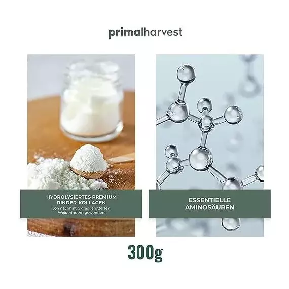 Primal Harvest Collagen Pulver – Bioaktives Hydrolysat aus Weidehaltung, geschmacksneutral & gut löslich, 7 image