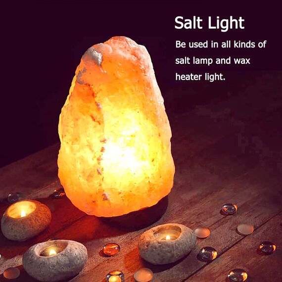 Caldarax 3 Stück Backofenlampe T22 E14 Dimmbar, 2700K Warmweiß, Backofen Lampe Bis 300°C Hitzebeständiges, 80LM, E14 Edison Glühbirne, Für zu Salzlampe, Backöfen, Kühlschränke, Mikrowellen