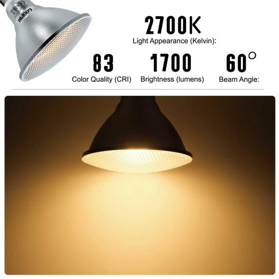 Goopig E27 PAR38 LED Lampe Nicht Dimmbar, 18W Warmweiß 2700K Ersetzt 120W Halogen Glühlampe, 2er-Pack, 2000lm AC 230V Leuchtmittel, Flimmerfrei Strahler, Reflektorlampe IP65 Abstrahlwinkel-60° Birnen