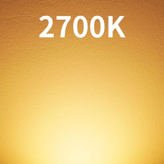 DiCUNO G9 LED Lampen 2W, entspricht 20W Halogenbirne, warmweiß 2700K, 200LM Energiesparlampe, kleine LED Birne G9, kein Flackern, nicht dimmbar, 10er Set