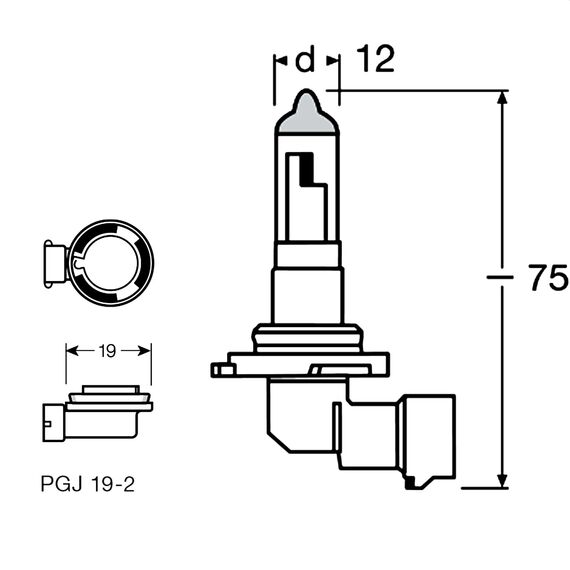 LIGHTWORLD24 Halogen Auto Lampen H11 12V 55W PGJ9-2 6000K Kalt Weiß Xenon Optik Ultra White Look Birnen Lampe Abblendlicht Nebelscheinwerfer Fernlicht Kurvenlicht Zulassung E-Prüfzeichen