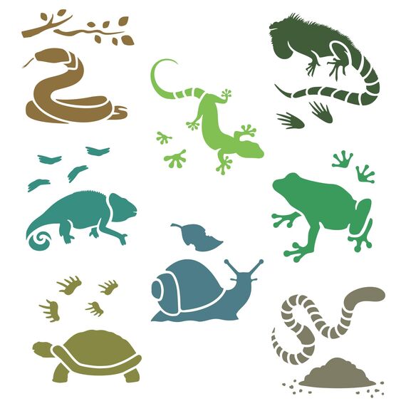 NAKLEO Schablonen Malen für Kinder, 8 Stück Set 15x15cm Reptilien Amphibien, Kinder Kreatives Zeichenschablonen, Kunststoff Wiederverwendbar Malschablone DIY Handwerk, Papier Wand Holz Stoff