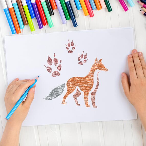 NAKLEO Schablonen Malen für Kinder, 8 Stück Set 15x15cm Waldtiere, Kinder Kreatives Zeichenschablonen, Kunststoff Wiederverwendbar Malschablone DIY Handwerk, Papier Wand Holz Stoff