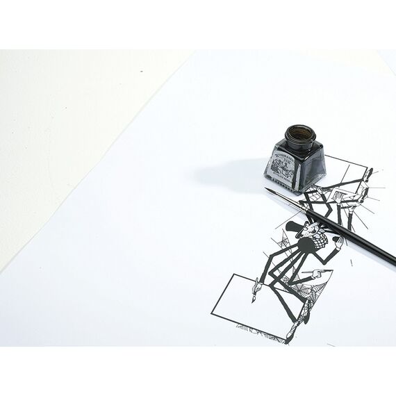 Winsor & Newton 1011030 Drawing Inks - Zeichentusche für Kalligraphen, Illustratoren, Grafikern, Künstler - wasserbeständige Farben, herrvorragender Transparenz, 30ml Flasche - Schwarz mit Pipette