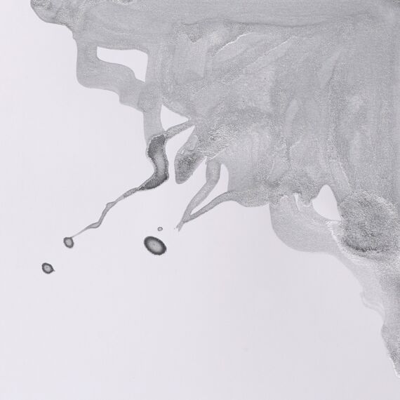 Winsor & Newton 1010617 Drawing Inks - Zeichentusche für Kalligraphen, Illustratoren, Grafikern, Künstler - wasserbeständige Farben, herrvorragender Transparenz, 30ml Flasche - Silber