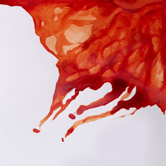 Winsor & Newton 1005074 Drawing Inks - Zeichentusche für Kalligraphen, Illustratoren, Grafikern, Künstler - wasserbeständige Farben, herrvorragender Transparenz, 14ml Flasche - Siena gebrannt