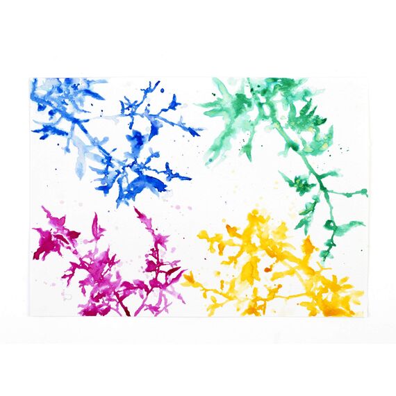 Winsor & Newton 1090104 Zeichentusche Set, 4 Farben, wasserbeständig für Illustratoren, Grafikern, Kalligraphen und Künstler - Purpur / Ultramarin / Sonnengelb / Viridian