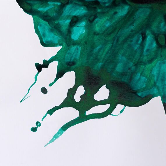 Winsor & Newton 1005692 Drawing Inks - Zeichentusche für Kalligraphen, Illustratoren, Grafikern, Künstler - wasserbeständige Farben, herrvorragender Transparenz, 14ml Flasche - Viridian