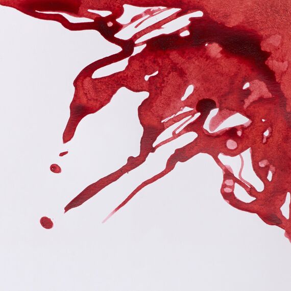 Winsor & Newton 1005040 Drawing Inks - Zeichentusche für Kalligraphen, Illustratoren, Grafikern, Künstler - wasserbeständige Farben, herrvorragender Transparenz, 14ml Flasche - Ziegelrot