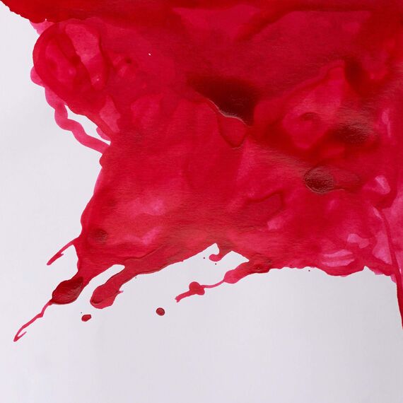 Winsor & Newton 1005127 Drawing Inks - Zeichentusche für Kalligraphen, Illustratoren, Grafikern, Künstler - wasserbeständige Farben, herrvorragender Transparenz, 14ml Flasche - Karmin