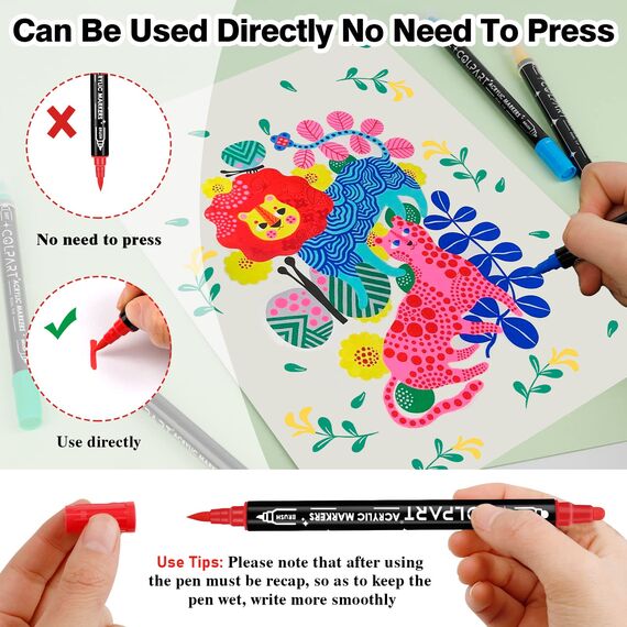 colpart Acrylic Paint Markers,Acrylic Paint Pens Paint Markers,60 Colors Dual Tip Paint Pens With Medium Tip and Brush