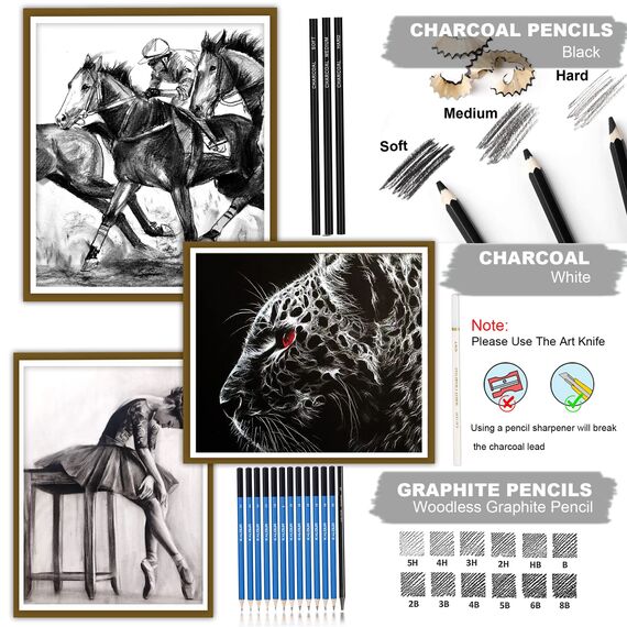 KALOUR 33-teiliges Profi-Zeichen-Set mit Skizzierstiften, tragbarer Reißverschluss-Reisetasche - Kohlestifte, Zeichenstifte, Radiergummi. Kunstbedarf für Künstler, Anfänger und Erwachsene