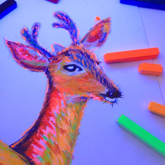 Artecho Pastellkreide 48er Premium Set, 46 Farben Darunter 4 Fluoreszierende Farben, Extra Schwarz & Weiß, Ideal für Künstler, Hobbymaler, Schule, Kunstunterricht.