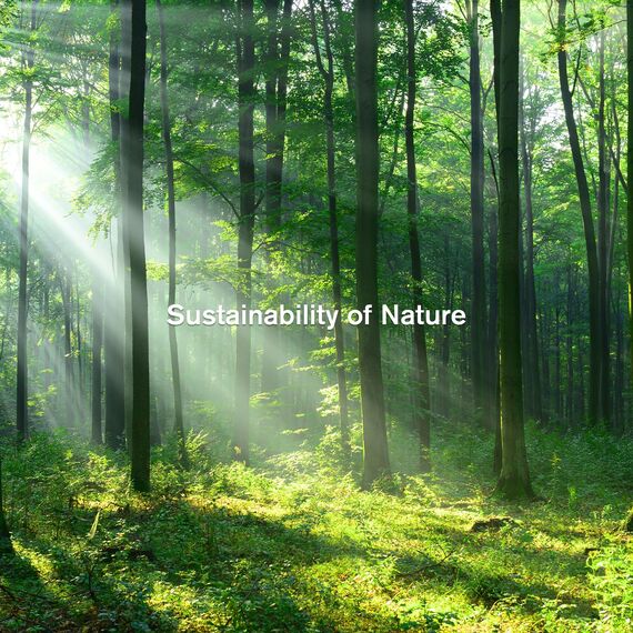 Fotokarton A4 300g/m² Weiß Papier 12 Blatt Premium Papier Dickes zum Drucken Kartonpapier Tonkarton Pappe