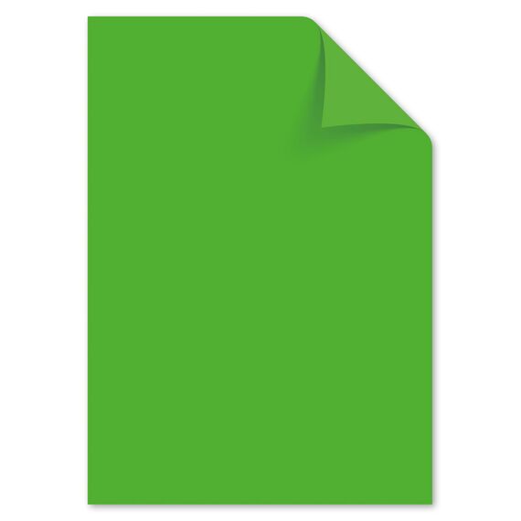 Kangaro - Tonpapier Hell Grun DIN A4-160g/m² FSC mix – 50 pack - Briefpapier Bastelpapier DIY, Hellgrun, Hellgrün