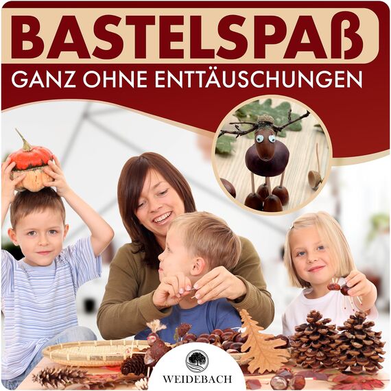 WEIDEBACH® 6-teiliges Kastanienbohrer Set, 1,5-6 mm Bohrer inkl. 20 Zahnstocher zum Basteln, Kastanien-Bastelset, Kastanienset, Kastanienmännchen Bastelset, Holzbohrer Handbohrer für Kastanien