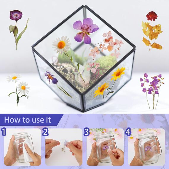 120 Transparente Scrapbooking Aufkleber, PET Blumen Aufkleber Pflanzen Sticker, Flower Stickers, Blumenaufkleber für Scrapbook Fotoalbum Sammelalbum Laptops Handwerk (60 Stile)