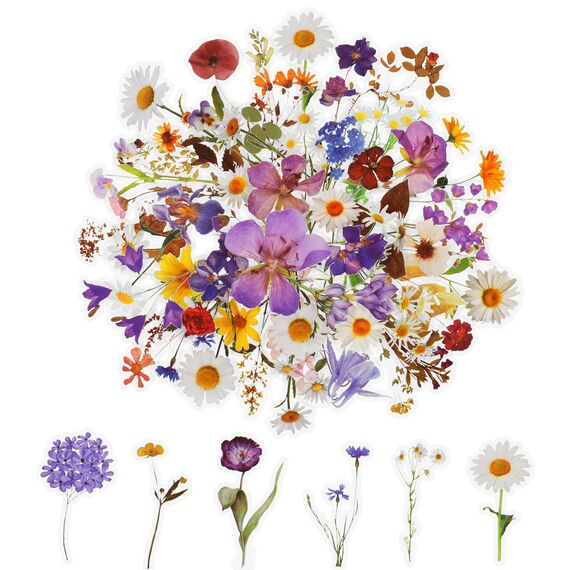 120 Transparente Scrapbooking Aufkleber, PET Blumen Aufkleber Pflanzen Sticker, Flower Stickers, Blumenaufkleber für Scrapbook Fotoalbum Sammelalbum Laptops Handwerk (60 Stile)