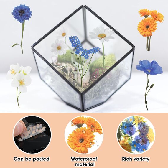 120 Transparente Scrapbooking Aufkleber, PET Blumen Aufkleber Pflanzen Sticker, Flower Stickers, Blumenaufkleber für Scrapbook Fotoalbum Sammelalbum Laptops Handwerk(Dunkel)