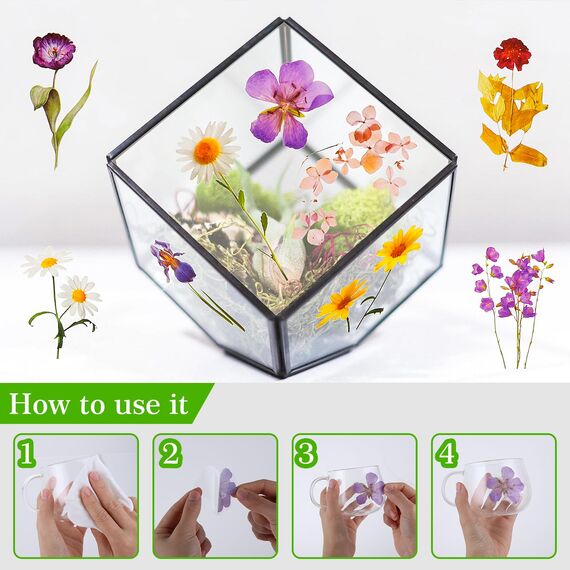 120 Transparente Scrapbooking Aufkleber, PET Blumen Aufkleber Pflanzen Sticker, Flower Stickers, Blumenaufkleber für Scrapbook Fotoalbum Sammelalbum Laptops Handwerk(Natürlich)