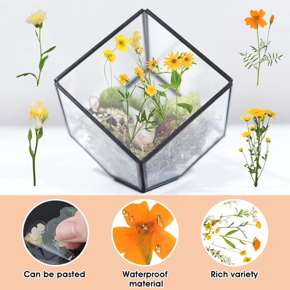 120 Transparente Scrapbooking Aufkleber, PET Blumen Aufkleber Pflanzen Sticker, Flower Stickers, Blumenaufkleber für Scrapbook Fotoalbum Sammelalbum Laptops Handwerk(Gänseblümchen)