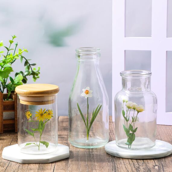 120 Transparente Scrapbooking Aufkleber, PET Blumen Aufkleber Pflanzen Sticker, Flower Stickers, Blumenaufkleber für Scrapbook Fotoalbum Sammelalbum Laptops Handwerk(Gänseblümchen)