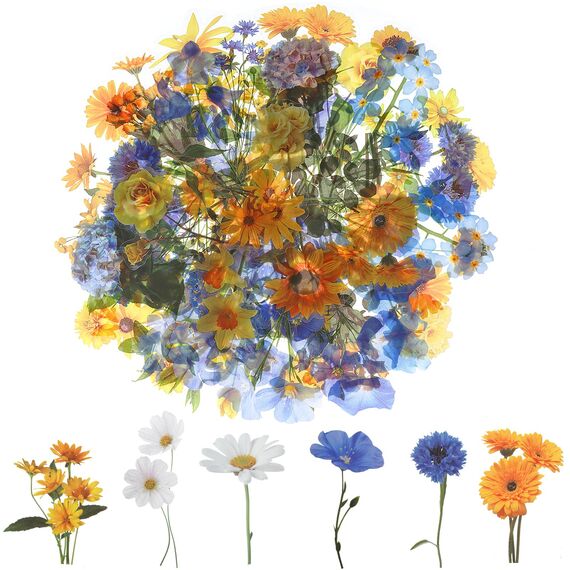 120 Transparente Scrapbooking Aufkleber, PET Blumen Aufkleber Pflanzen Sticker, Flower Stickers, Blumenaufkleber für Scrapbook Fotoalbum Sammelalbum Laptops Handwerk(Dunkel)
