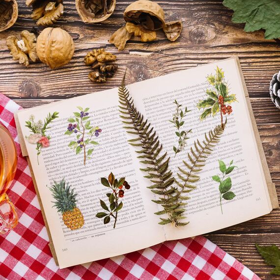 120 Stück Blumen Scrapbooking Aufkleber,Transparente Pflanzen Aufkleber, Vintage Bunte Blumenaufkleber,PET Wasserfeste Flower Stickers für Scrapbook Fotoalbum Tagebücher Karten