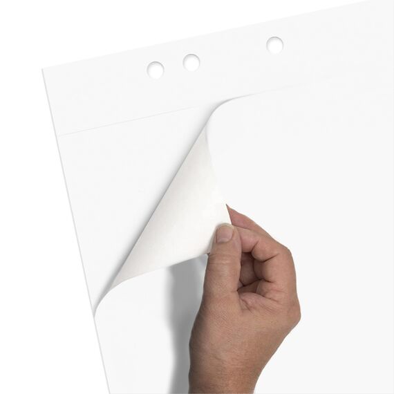 Limit 2 x Flipchart-Block, kariert und blanko, 20 Blatt je Block, 80 g/m², weiß