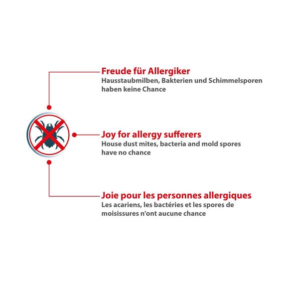 Dustwave® 10 Staubsaugerbeutel für AEG VX4-1-EB, VX4-1-GM-T, VX4-1-IW-P, VX4-1-OR, VX4-1-PM-P, VX4-1-WR-A, VX4-1-WR-P, VX6-1-CB-P, VX6-1 - hocheffizient, Mikrovlies mit Verschluss - Made in Germany