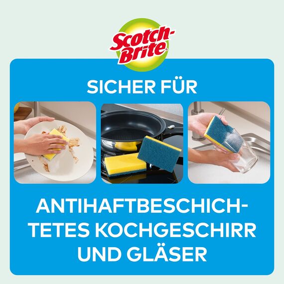 Scotch-Brite Delicate nicht kratzender Reinigungsschwamm, 12 Stück - ideal für den täglichen Abwasch, auch für antihaftbeschichtetes Kochgeschirr und Glas, Blau - Kratzfrei