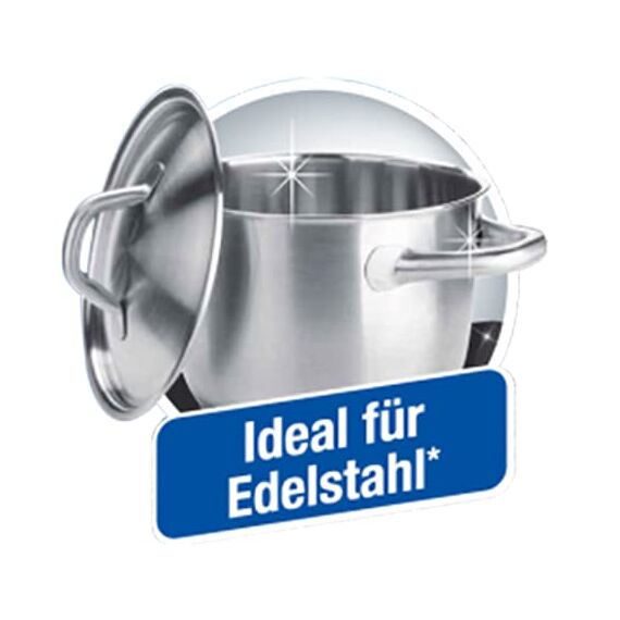 Spontex Polish Edelstahl-Putz - Scheuerschwamm ideal für Edelstahltöpfe