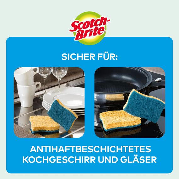 Scotch-Brite Delicate nicht kratzender Naturfaser-Reinigungsschwamm, 10 Stück - hochsaugfähiger Schwamm, ideal für alltägliche Reinigungsaufgaben, Blau - Kratzfrei