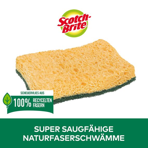 Scotch-Brite Classic Naturfaser-Reinigungsschwamm, 6 Stück + 2 GRATIS - Allzweck-Schwamm für den Alltag - Kratzfrei