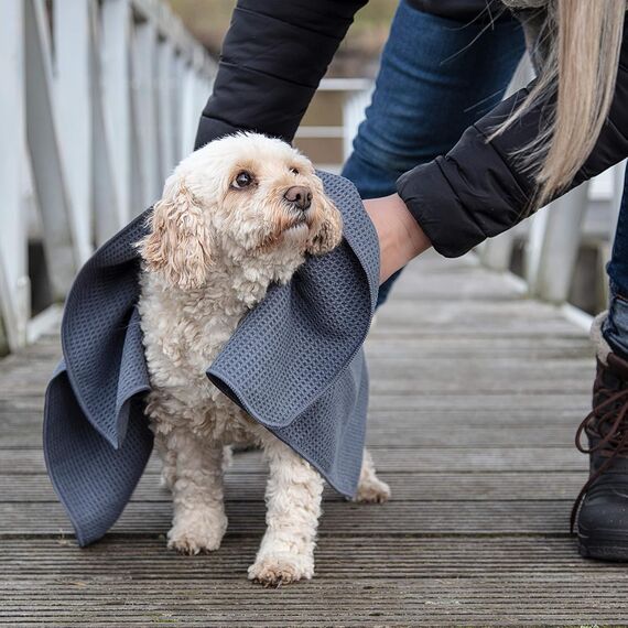Glart 4485 Mikrofaser Hundetuch – 80×55 cm saugstarkes Handtuch zum Abtrocknen & Reinigen – weich & schonend für Fell & Pfoten – für Auto, Bad & Zuhause – designed in Germany