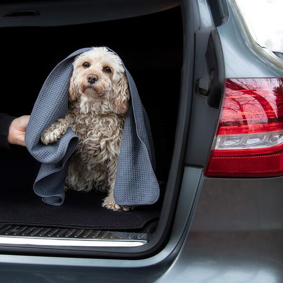 Glart 4485 Mikrofaser Hundetuch – 80×55 cm saugstarkes Handtuch zum Abtrocknen & Reinigen – weich & schonend für Fell & Pfoten – für Auto, Bad & Zuhause – designed in Germany