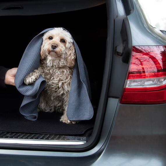 Glart 4485 Mikrofaser Hundetuch – 80×55 cm saugstarkes Handtuch zum Abtrocknen & Reinigen – weich & schonend für Fell & Pfoten – für Auto, Bad & Zuhause – Designed in Germany (Packung mit 2)
