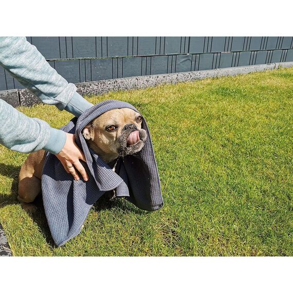 Glart 4485 Mikrofaser Hundetuch – 80×55 cm saugstarkes Handtuch zum Abtrocknen & Reinigen – weich & schonend für Fell & Pfoten – für Auto, Bad & Zuhause – designed in Germany