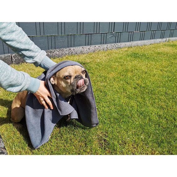 Glart 4485 Mikrofaser Hundetuch – 80×55 cm saugstarkes Handtuch zum Abtrocknen & Reinigen – weich & schonend für Fell & Pfoten – für Auto, Bad & Zuhause – Designed in Germany (Packung mit 2)