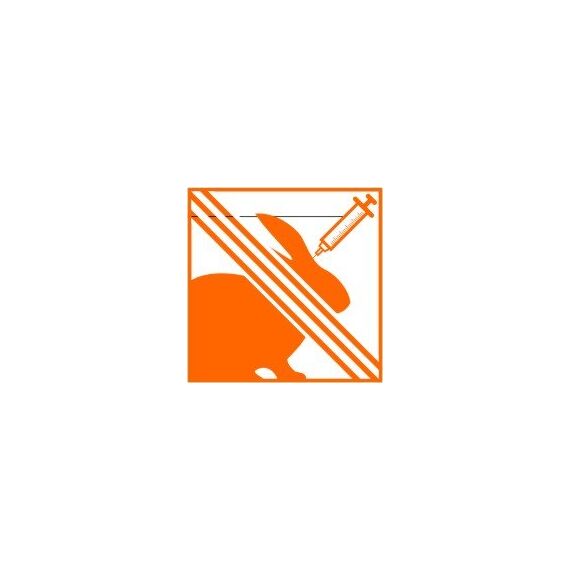 Putzen wie die Profis – 4er Set Hochkonzentrierte Reinigungsmittel für Haushalt & Bad - Fresh, Easy, GlasRein & AMI - fettlösend, kalklösend, streifenfrei - tierversuchsfrei & umweltfreundlich