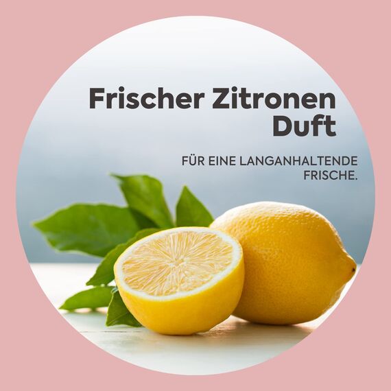 klæny® Nachhaltiger Putzstein Universalreiniger Set I mit Luffaschwamm I ökologisches Reinigungsmittel fürs Haus I Umweltfreundlich & Vegan I Allzweckreiniger Putzmittel I Mikroplastikfrei I 350 g