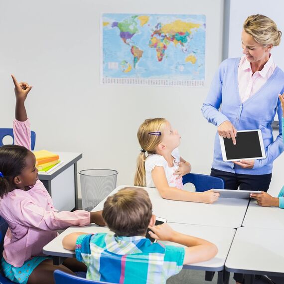 D.RECT Papierkorb Büro 12L - Abfalleimer, Papierkorb aus Drahtgeflecht Mülleimer, Papiereimer - Metall Büroeimer Mesh Runder, Silber