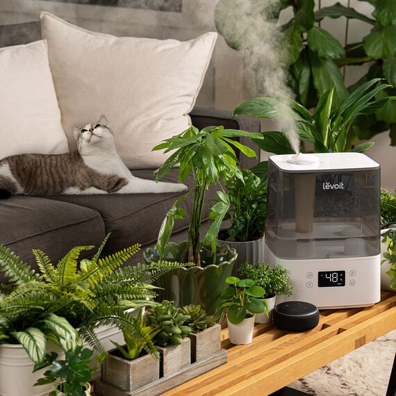 Levoit Smart Luftbefeuchter für große Räume, Top-Fill Humidifier, mit APP & Alexa Steuerung, bis 47m², leise Raumbefeuchter für Schlafzimmer, Kinderzimmer, Pflanzen, Auto Shut-off, 6 L, Grau