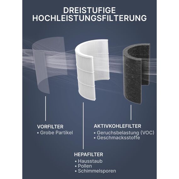 Comedes Kombi-Filter kompatibel mit Philips AC3033/10, AC3036/10 Luftreiniger (Series 3000i), einsetzbar statt Philips FY3430/30 NanoProtect (10 Stück)